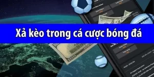 https://bw4d.online/